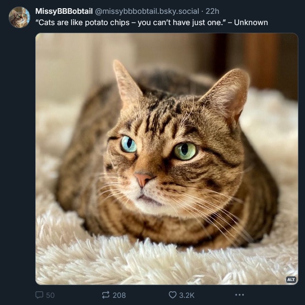 Meme29