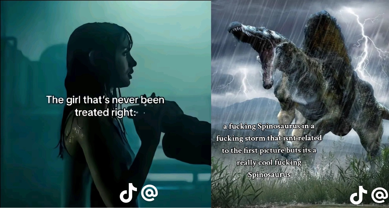 Meme9